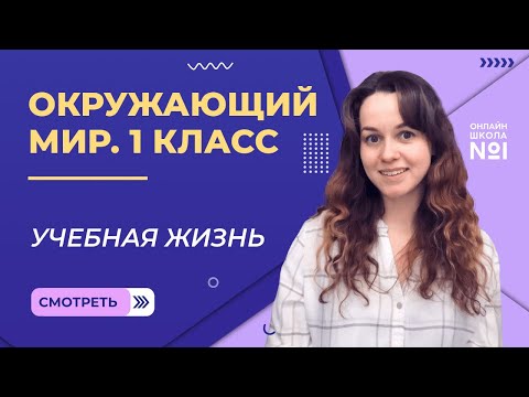 Видео: Видеоурок 16. Учебная жизнь. Окружающий мир 1 класс