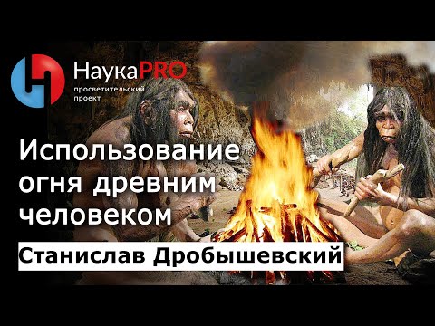 Видео: Использование огня древним человеком | Лекции по антропологии – Станислав Дробышевский | Научпоп