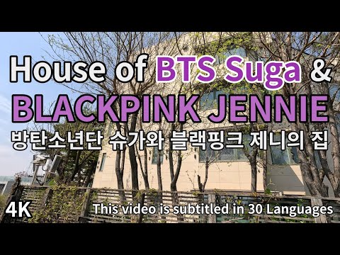 Видео: Дом Шуги из BTS / Дженни из BLACKPINK / 4K