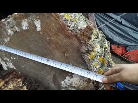 Видео: Вертикальный,гидравлический колун Т-25 ч2.