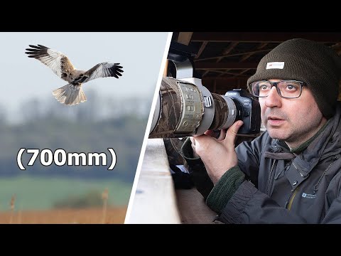 Видео: Фотографирование хищных птиц из укрытия — достаточно ли у меня расстояния? (И советы по съемкам в...