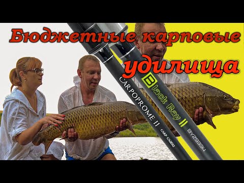 Видео: Бюджетные удилища // Рыбалка на пруду //