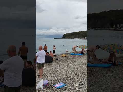 Видео: Ольгинка 09.09.25г