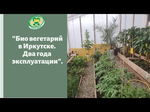 Видео: Био вегетарий в Иркутске. Впечатления после 2-х лет эксплуатации.