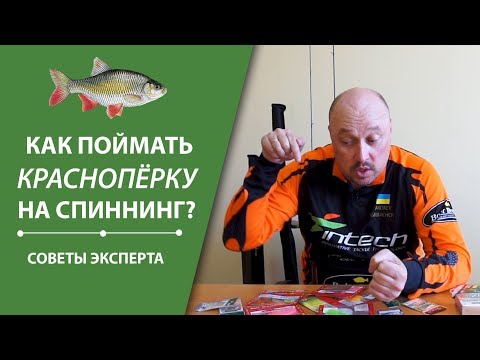 Видео: Как поймать краснопёрку на спиннинг? | Cоветы эксперта