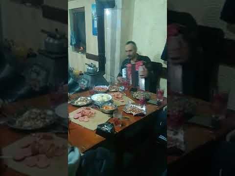 Видео: Брачеди Рохлеви 2