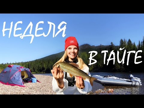 Видео: РЫБАЛКА, СПЛАВ И КЕМПИНГ НА ГОРНОЙ РЕКЕ! Уехали отдохнуть в глухую тайгу на неделю. Ловим хариуса.