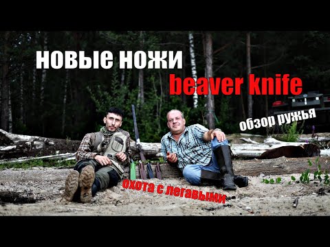 Видео: Новые ножи от BeaverKnife! Охота с легавыми I Обзор ружья