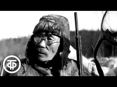 Видео: Летопись полувека. Год 1940