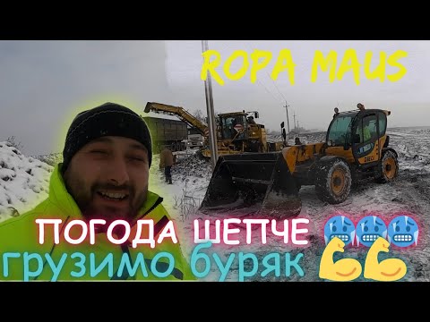 Видео: Грузимо буряки попри сильну заметіль 🥶🥶❄️❄️😱😱