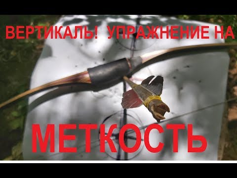 Видео: Упражнение на меткость. Вертикаль. Инстинктивная стрельба.