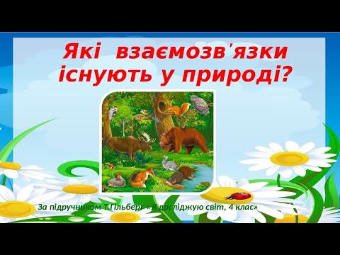 Видео: Які взаємозв'язки існують у природі? Я досліджую світ, 4 клас / Т.Гільберг