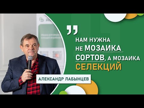 Видео: Александр Лабынцев – о прошлом сезоне и стратегии осенней посевной