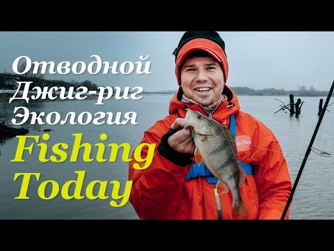 Видео: Отводной. Джиг-риг. Экология на МР. Розыгрыш Zetrix Ambition-X - Fishing Today