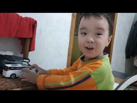 Видео: 24 октября 2025 года