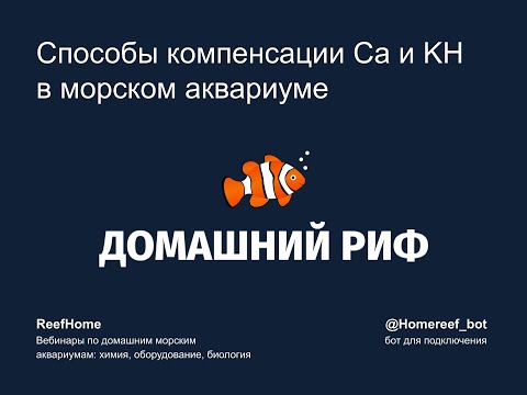 Видео: Способы компенсации кальция и KН в морском аквариуме: плюсы и минусы