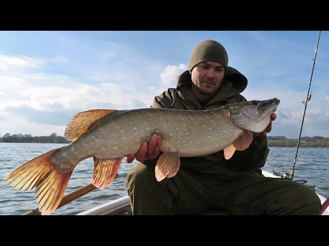 Видео: Как я поймал 55 Щук .