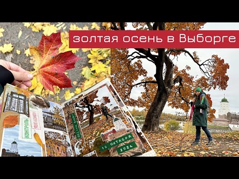 Видео: Осенний Выборг