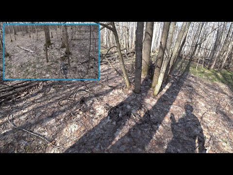 Видео: Что тут творилось? Нашёл несчётное количество бухт трелёвочного троса в лесу