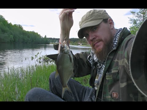 Видео: Закидушки. река. ЛЕТО!!!