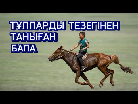 Видео: Сыншы Қанай #аудиокітап Әңгімелер