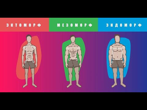 Видео: ЭКТОМОРФ. МЕЗАМОРФ. ЭНДОМОРФ. КАКОЙ У ТЕБЯ ТИП ТЕЛОСЛОЖЕНИЯ?
