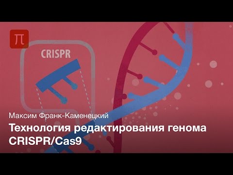 Видео: Пресс-лекция | Технология редактирования генома CRISPR/Cas9