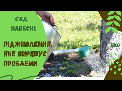 Видео: Як і чим я підживлюю плодові дерева для великого урожаю та вирішення фізіологічних проблем рослин.