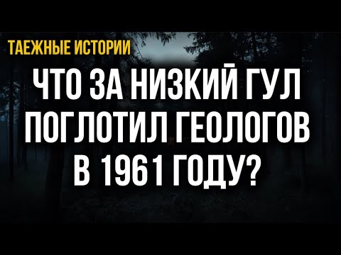 Видео: ТАЙГА ДЫШИТ! Что за низкий гул поглотил геологов в 1961 году? ТАЕЖНЫЕ ИСТОРИИ