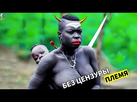 Видео: 15 УЖАСНЫХ ПЛЕМЕН, С КОТОРЫМИ ВЫ НЕ ХОТИТЕ СТЕЧЬСЯ В ДИКОЙ ПРИРОДЕ! Путеводный Документальный Фильм