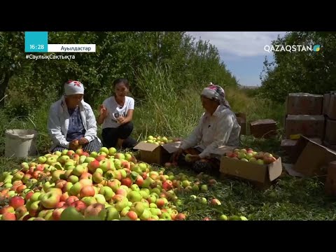 Видео: «АУЫЛДАСТАР». Түркістан облысы, Тұрар Рысқұлов ауылы