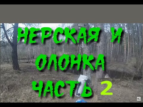 Видео: НЕРСКАЯ И ОЛОНКА ЧАСТЬ 2