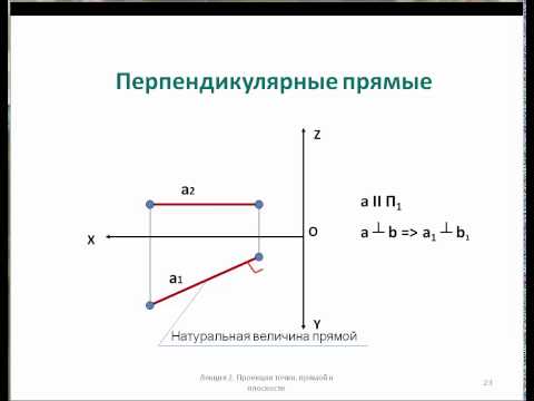 Видео: Начертательная геометрия: 5_Относительное положение прямых