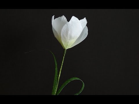 Видео: Цветок из вафельной бумаги. Крокус