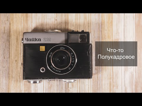 Видео: Озеро, лес и Чайка 2м