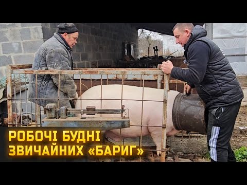 Видео: 🇺🇦Будні БАРИГ! Відбираємо останню худобу в СЕЛЯН! Подорож закинутими селами!