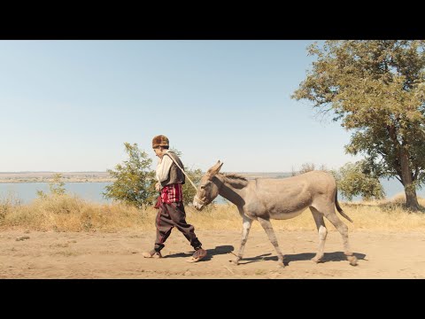 Видео: Тизер "Хитър Петър пътува из Бесарабия" 2020