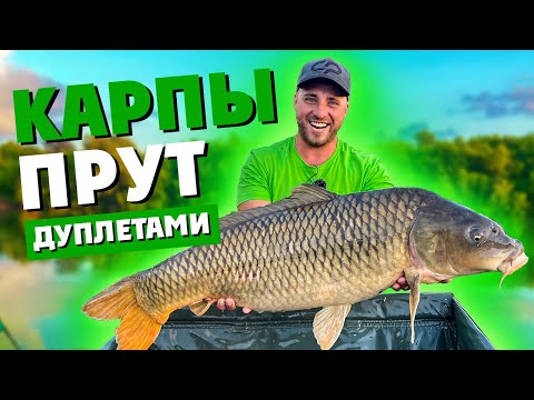 Видео: Ловля КАРПА и САЗАНА 15+ кг! ТРОФЕЙНЫЕ КАРПЫ прут ДУПЛЕТАМИ целые СУТКИ! КАРПФИШИНГ! РЫБАЛКА 2021