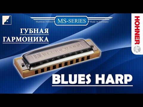 Видео: Обзор губной гармоники Hohner Blues Harp