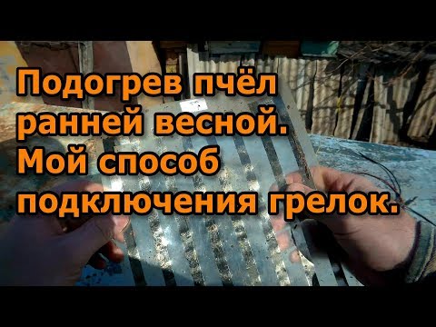 Видео: Подогрев пчёл ранней весной. Мой способ подключения грелок.