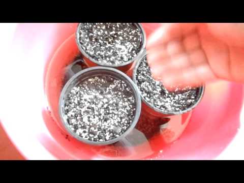 Видео: ПРИМУЛА НА 8 МАРТА. ОТ А ДО Я !! УРОК №2.