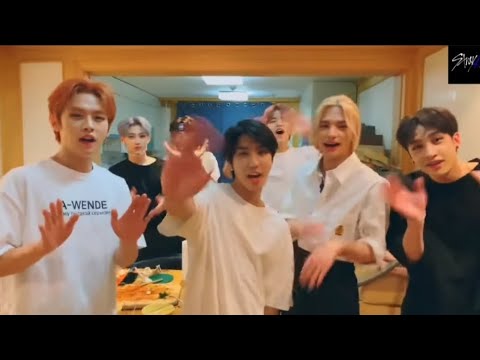 Видео: stray kids и голодный чан бин