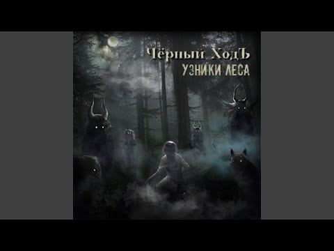 Видео: Узники леса