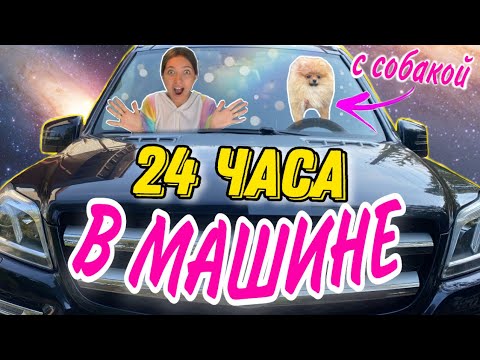 Видео: НОЧЬ В МАШИНЕ С СОБАКОЙ🚗🐶 24 Часа ЧЕЛЛЕНДЖ!