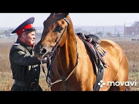 Видео: Валентин Куба.Птица ворон, мне б с тобою.