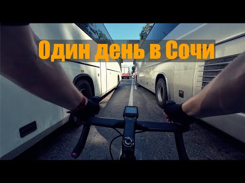 Видео: ВСТРЕТИЛ МЕДВЕДЯ В КРАСНОЙ ПОЛЯНЕ!
