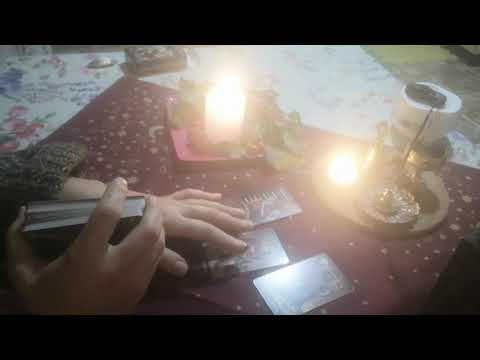 Видео: Крис Кремерс и Лисанн Фрон.