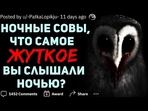Видео: НОЧНЫЕ СОВЫ, ЧТО САМОЕ ЖУТКОЕ ВЫ СЛЫШАЛИ НОЧЬЮ?