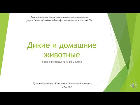 Видео: Дикие и домашние животные