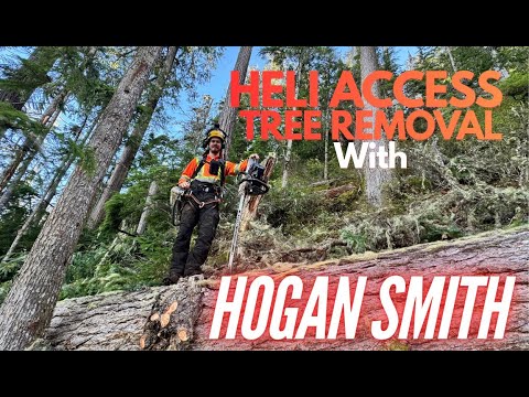 Видео: Удаление деревьев с помощью вертолета с помощью HOGAN SMITH